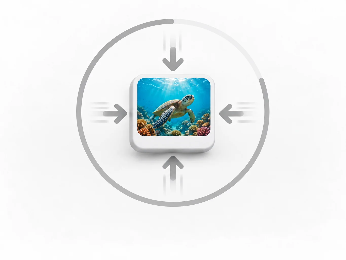 The same sea-turtle reef clip being squeezed smaller by inward arrows inside a circular progress ring as it compresses