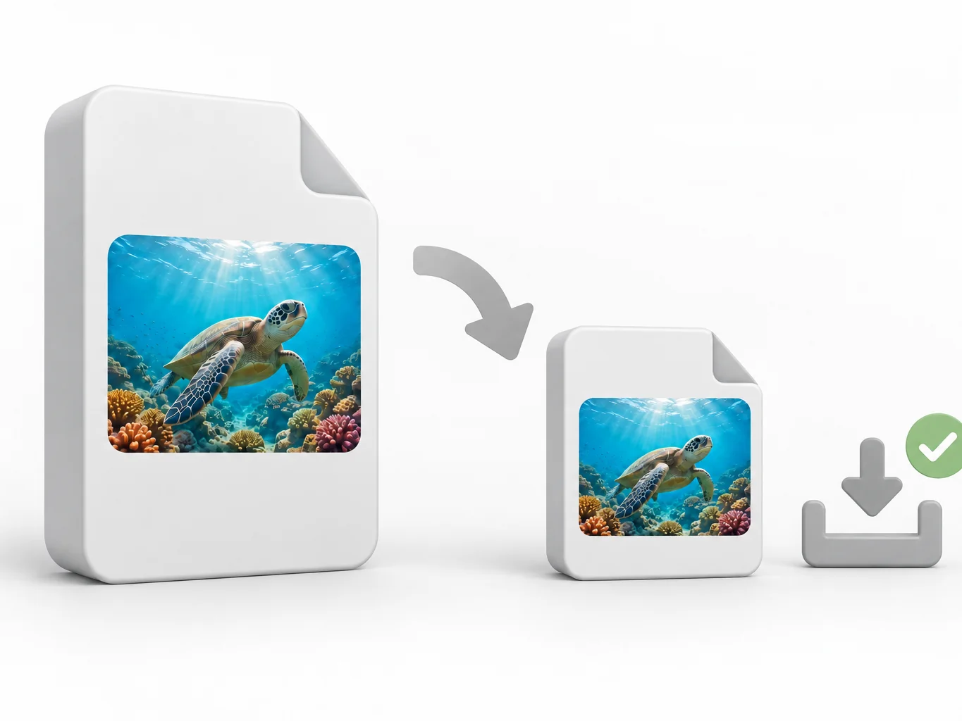 The same sea-turtle reef clip as a large file beside a much smaller copy with a download tray and a check mark, showing the size drop