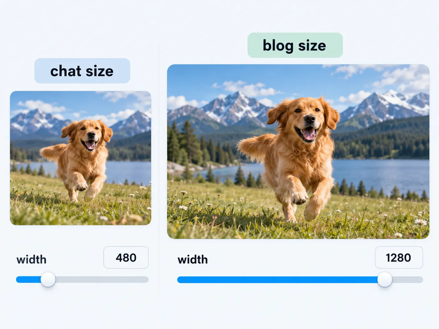 Two side-by-side GIF preview frames showing a compact chat-sized output and a larger crisp blog-sized output, with width controls beside them.