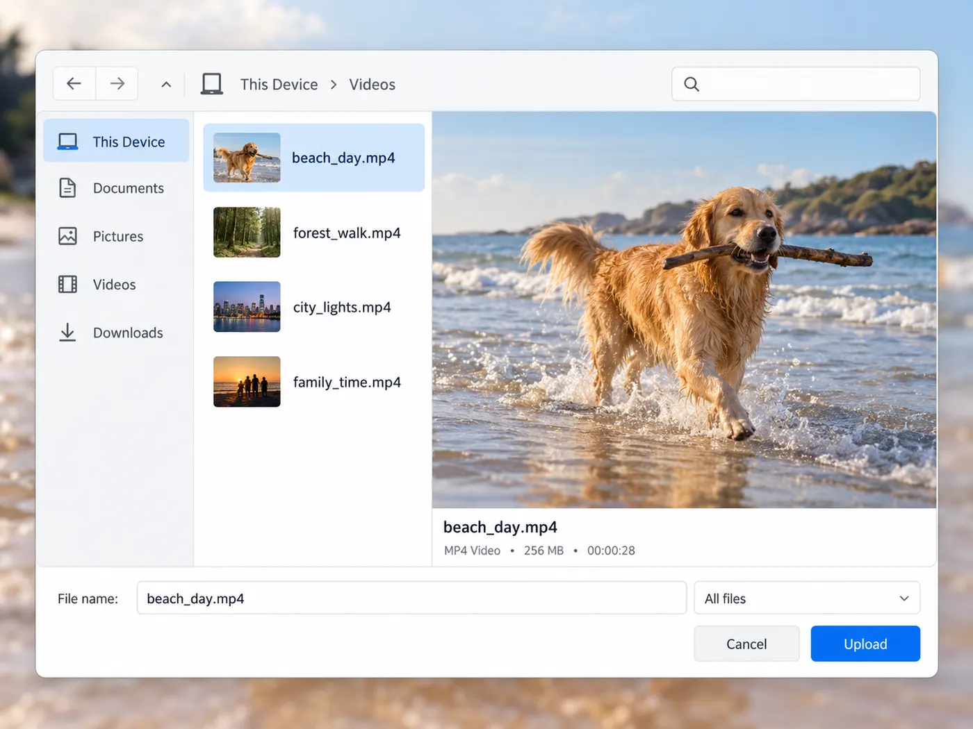 The file beach_day.mp4 selected from the device, represented by a natural still frame of a golden retriever carrying a stick on a shallow beach.