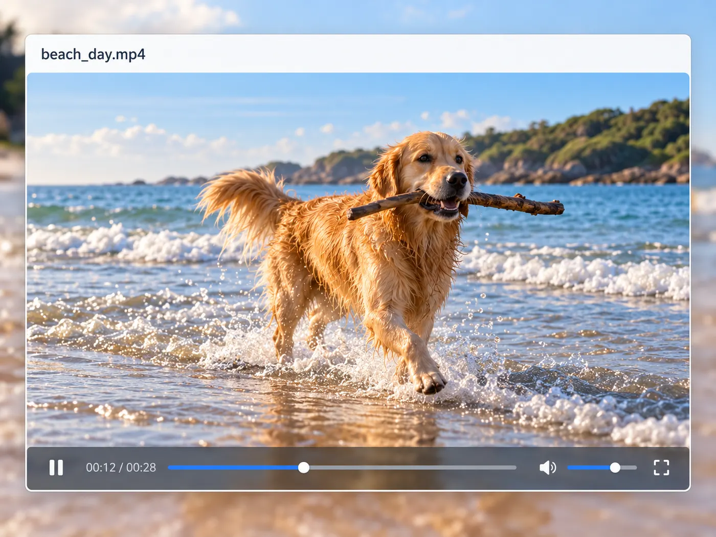The same beach_day.mp4 loaded as a preview still, showing the golden retriever clip with playback context and the exact filename visible.