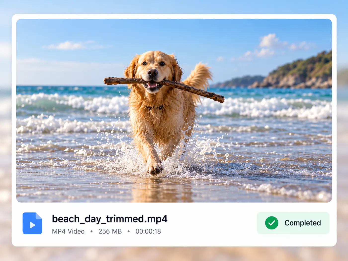 The finished file beach_day_trimmed.mp4 represented by a clean still frame of the golden retriever carrying the stick, ready to download and share.