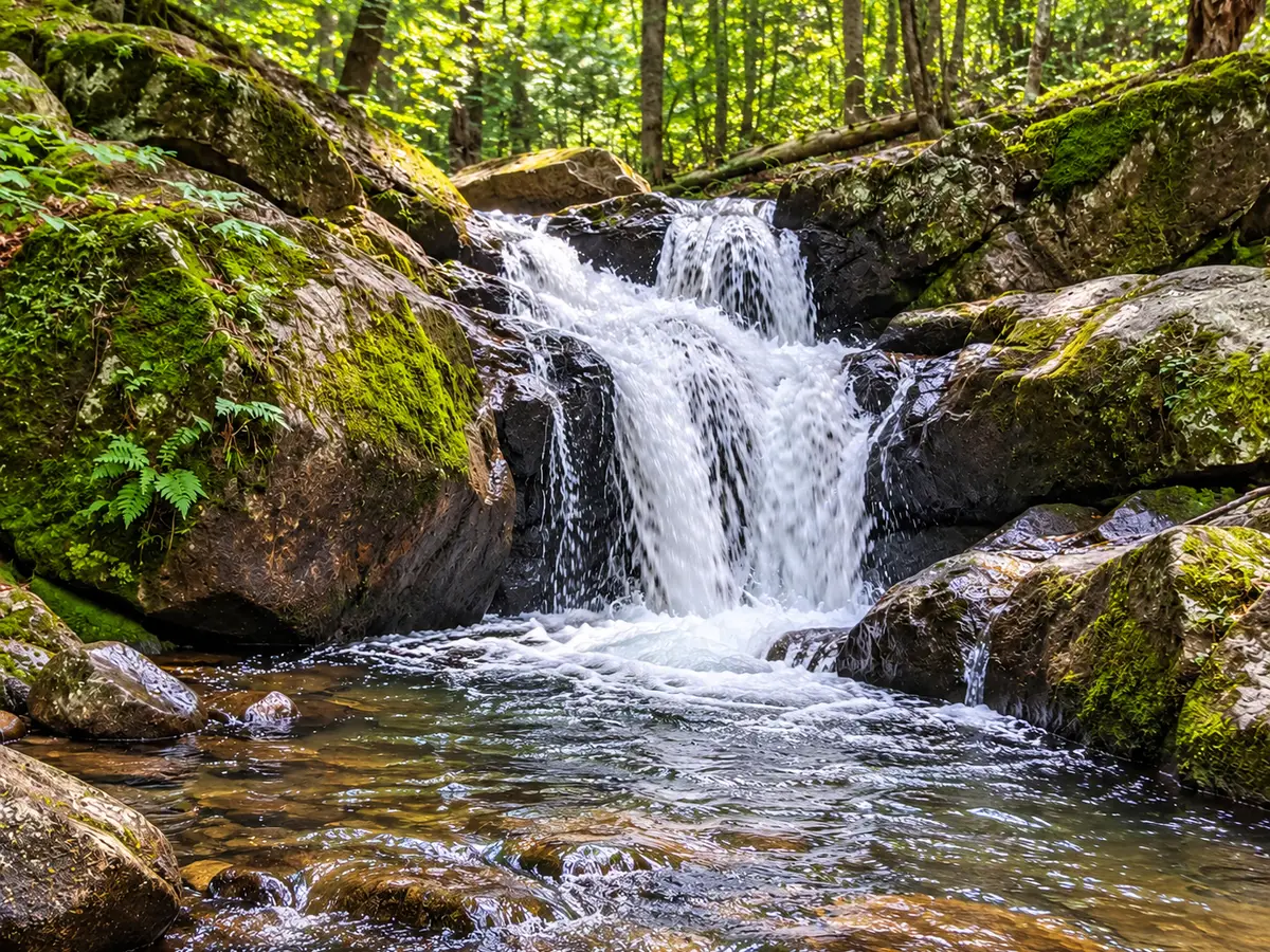 The waterfall flowing through the forest rocks, presented as a short download-ready video moment.